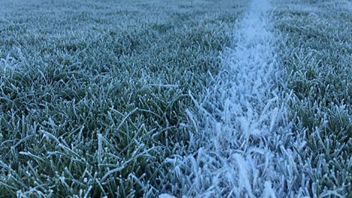 WHEN IS IT TOO COLD TO PLAY?