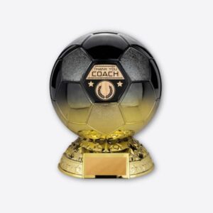 Elite Heavyweight Thank you Coach Award