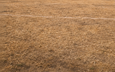 FA GUIDANCE – GRASS PITCH USAGE DURING DROUGHT